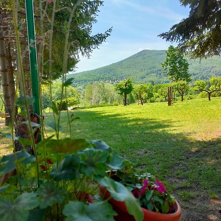 Vila Jezerski Raj Borsko Jezero Esterno foto