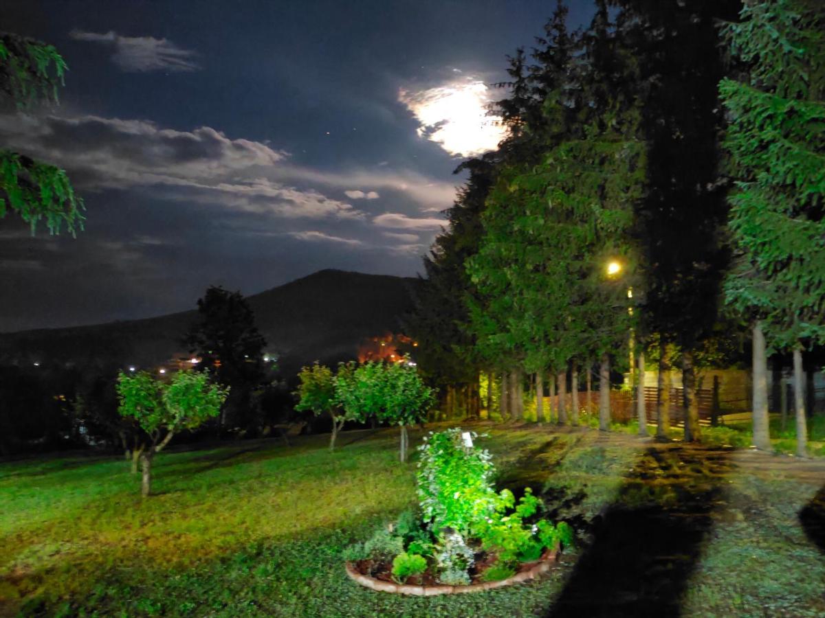 Vila Jezerski Raj Borsko Jezero Esterno foto