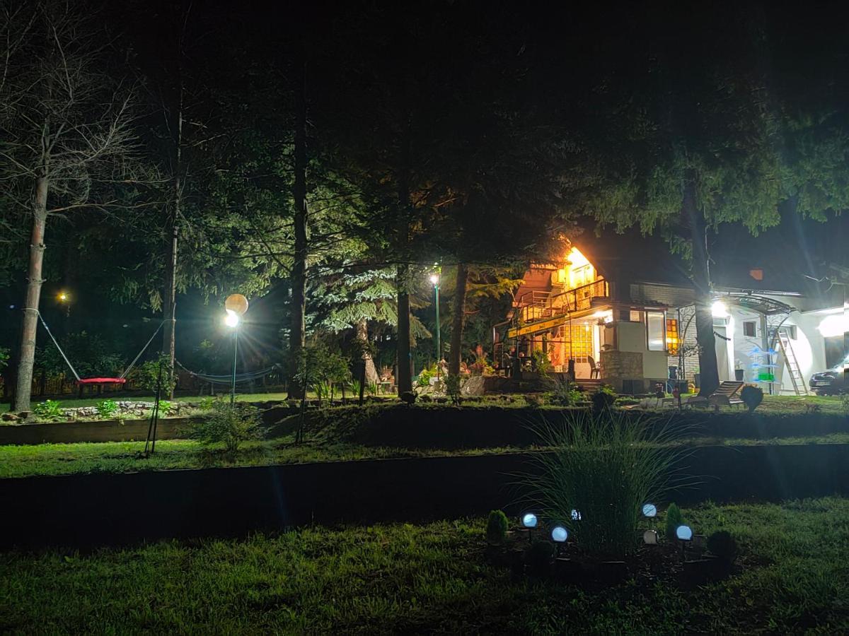 Vila Jezerski Raj Borsko Jezero Esterno foto