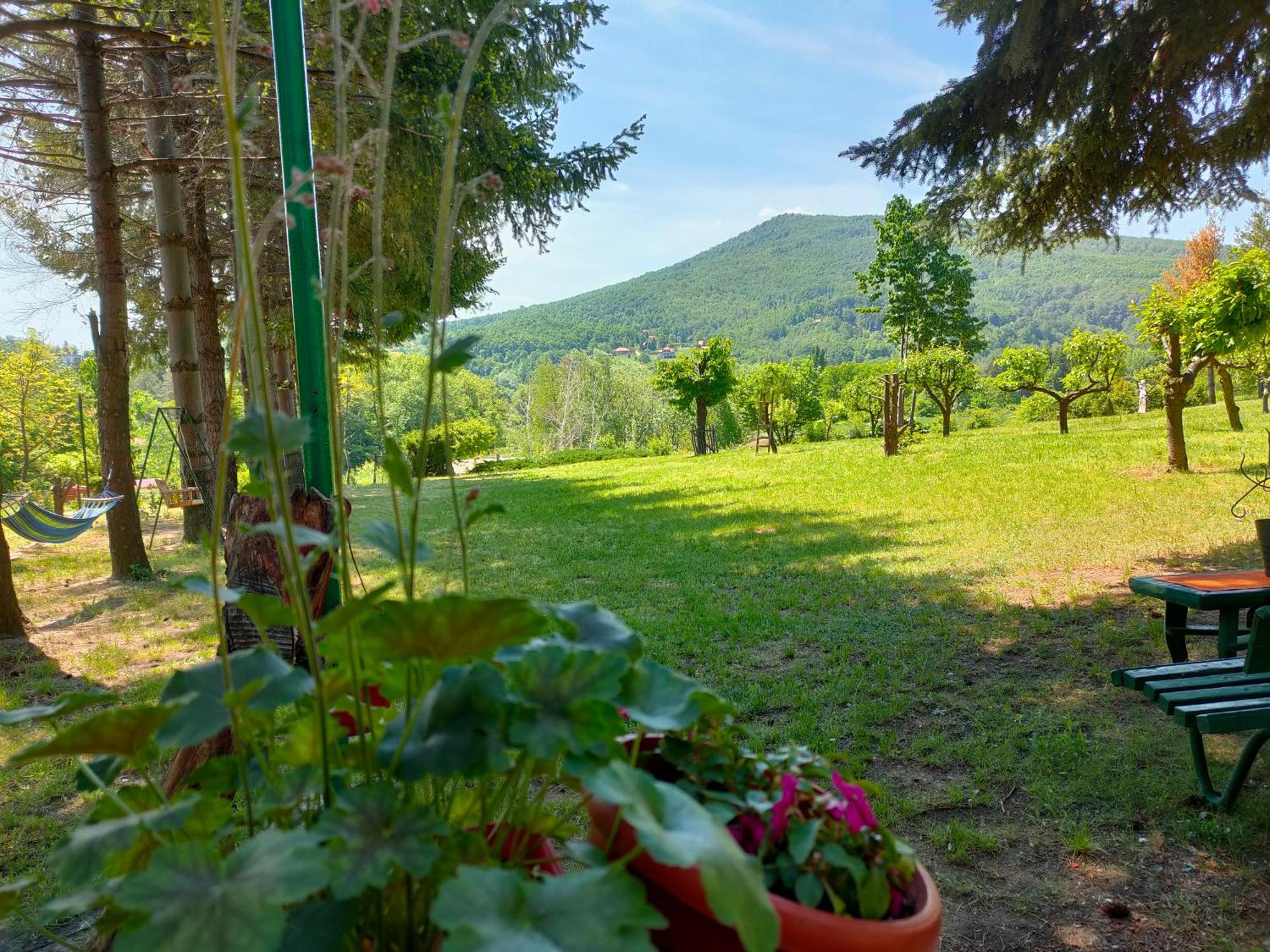Vila Jezerski Raj Borsko Jezero Esterno foto