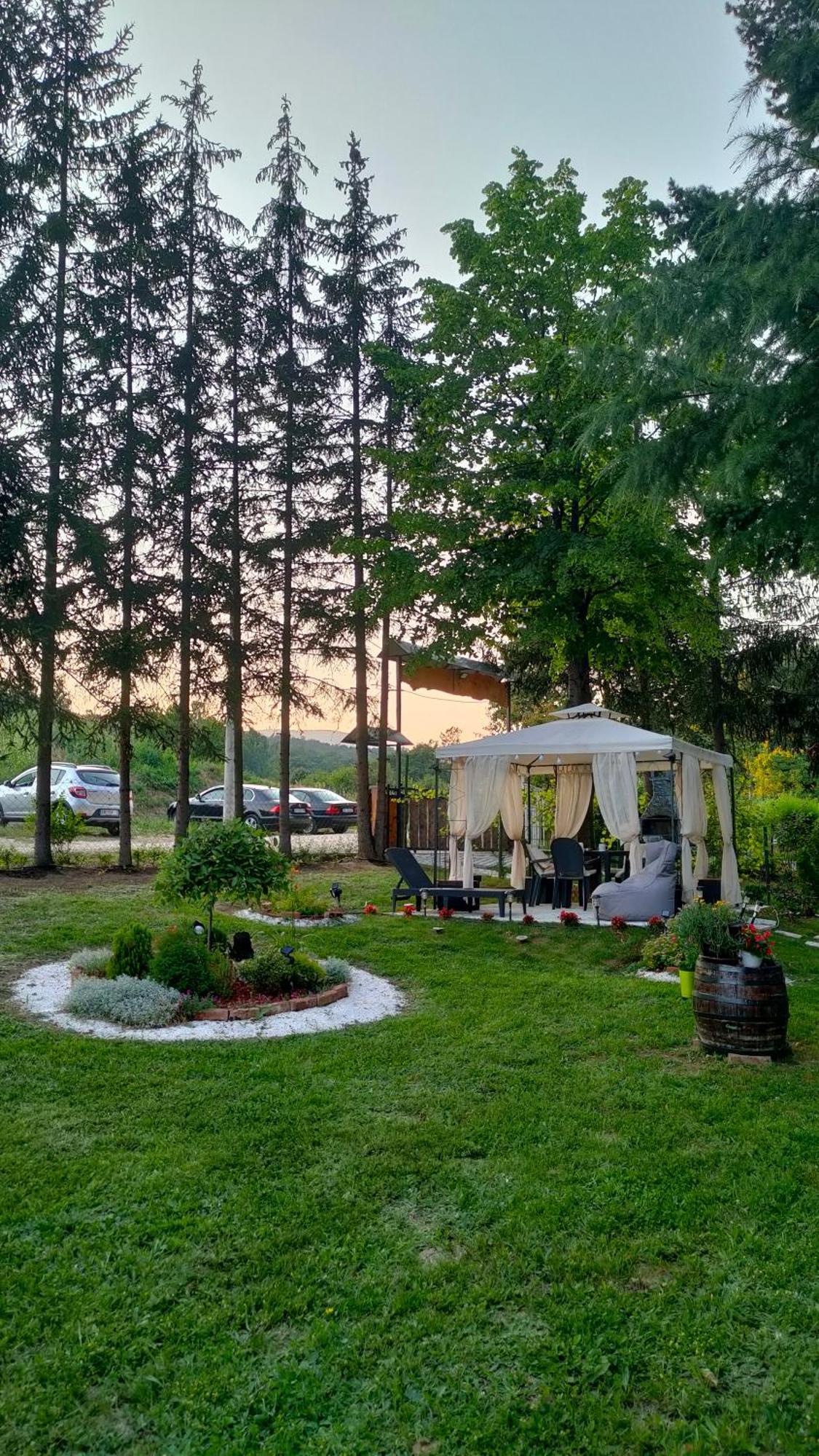 Vila Jezerski Raj Borsko Jezero Esterno foto